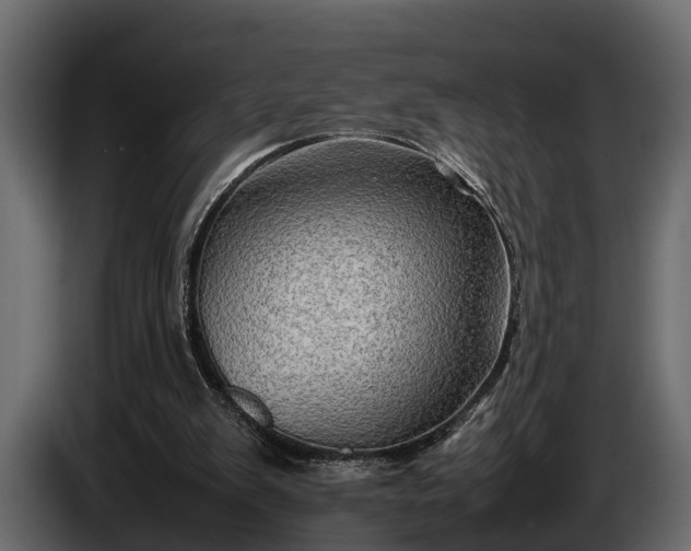 X0000085730103200703231057