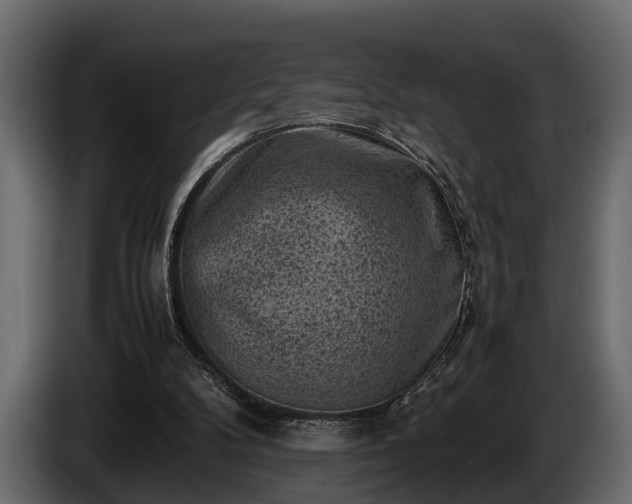 X0000085730104200703231057