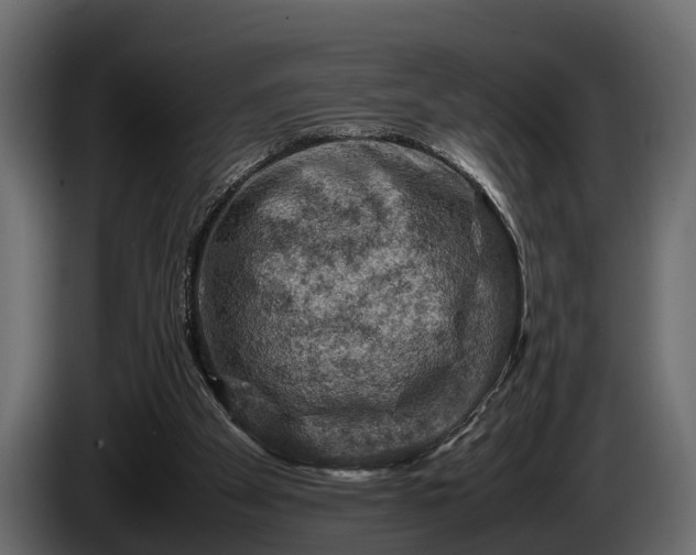 X0000085730105200703231057