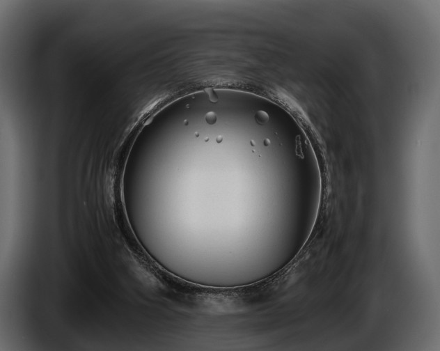 X0000085730106200703231057