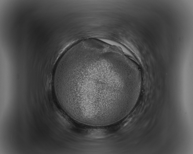 X0000085730107200703231057