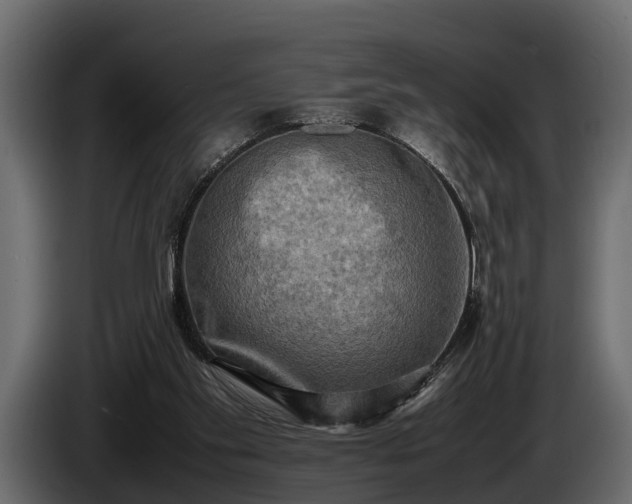 X0000085730109200703231057