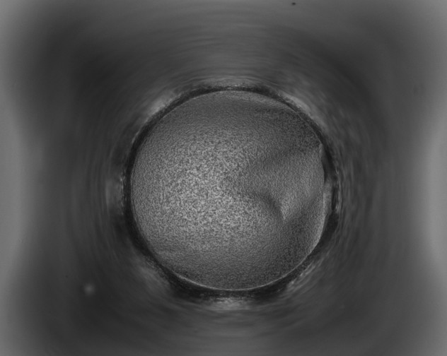 X0000085730111200703231057