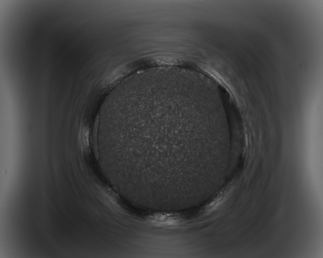 X0000085730117200703231056