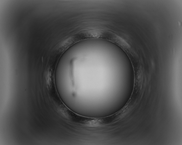 X0000085730122200703231056