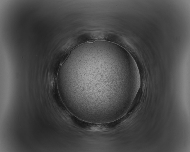 X0000085730125200703231056