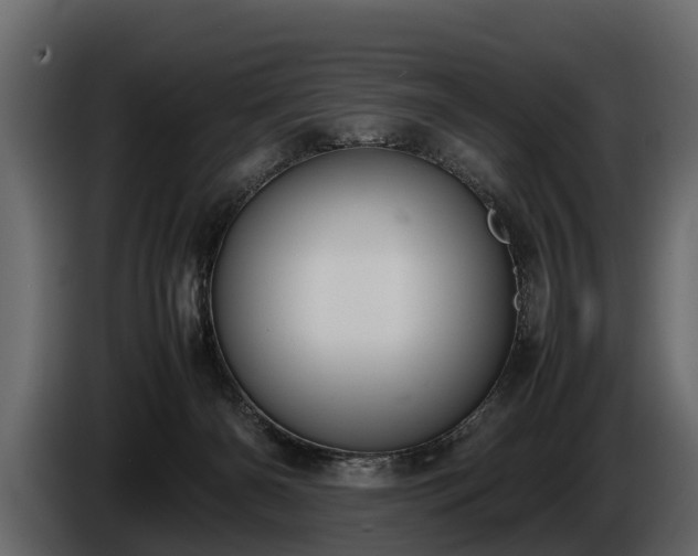 X0000085730126200703231056