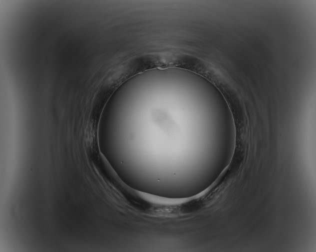 X0000085730129200703231056