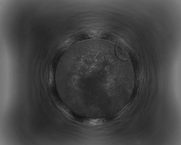 X0000085730130200703231056