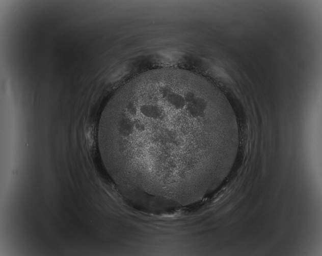 X0000085730131200703231056