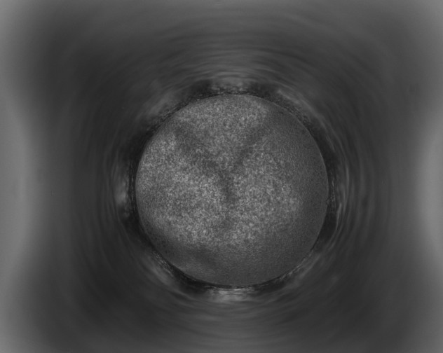 X0000085730134200703231056