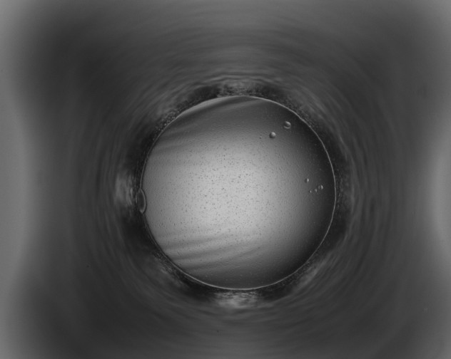 X0000085730135200703231056