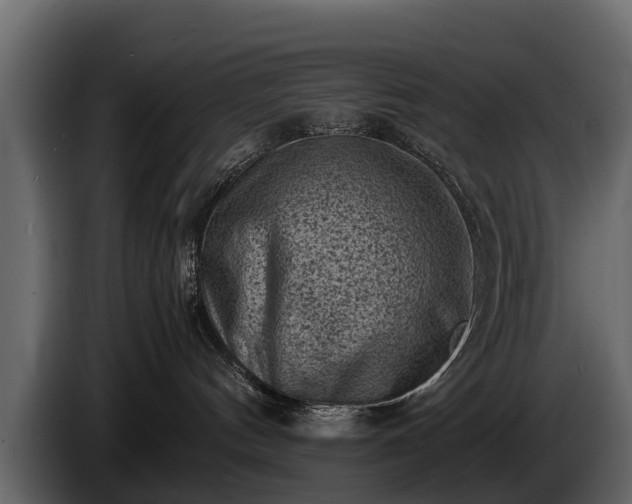 X0000085730144200703231056