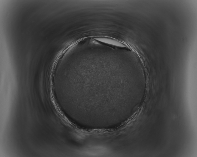 X0000085730145200703231055