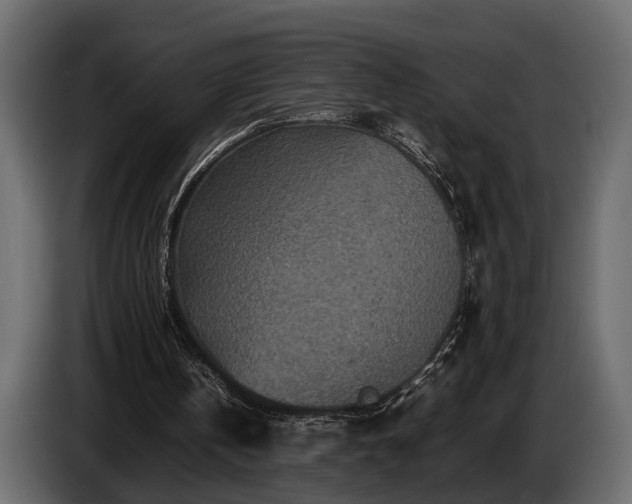 X0000085730146200703231055