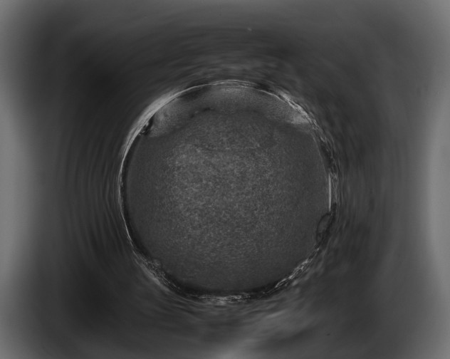 X0000085730147200703231055