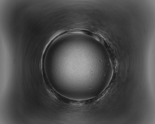 X0000085730148200703231055