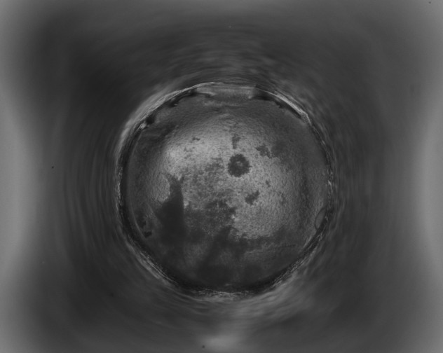 X0000085730149200703231055