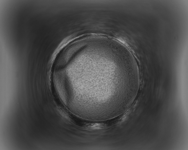 X0000085730151200703231055