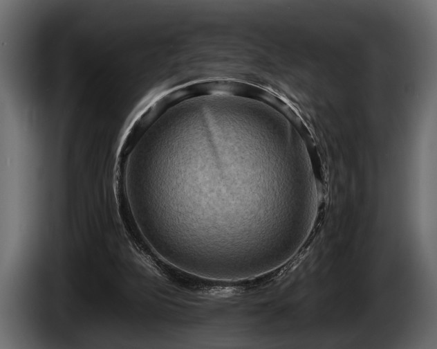 X0000085730152200703231056