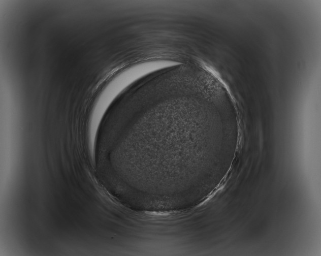 X0000085730154200703231056