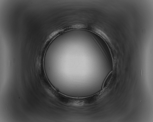 X0000085730155200703231056