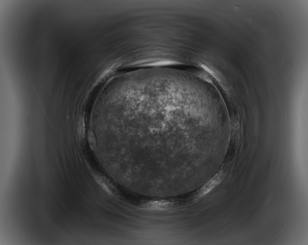 X0000085730158200703231056