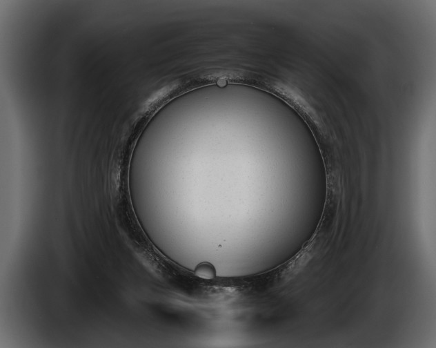 X0000085730159200703231056