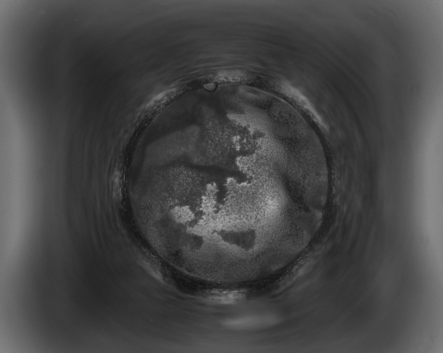 X0000085730161200703231056