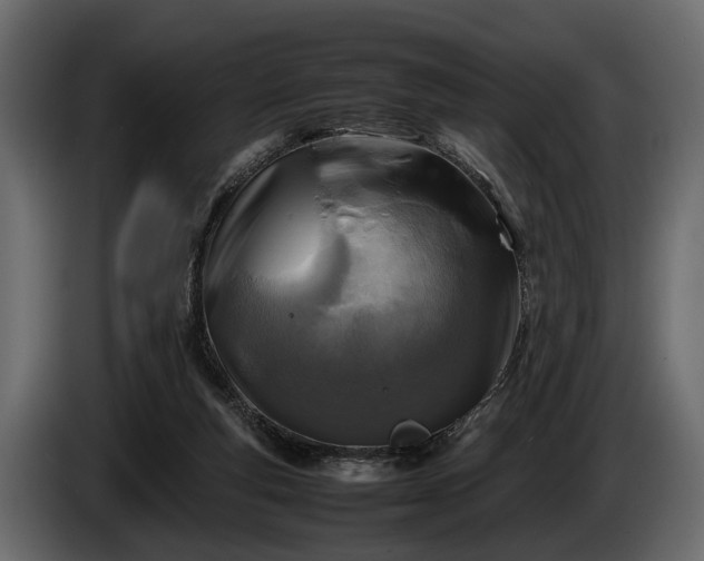 X0000085730163200703231056