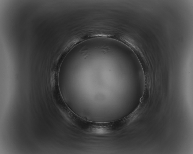 X0000085730167200703231056