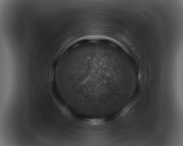 X0000085730168200703231056