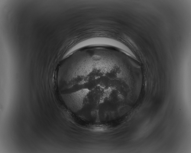 X0000085730169200703231056