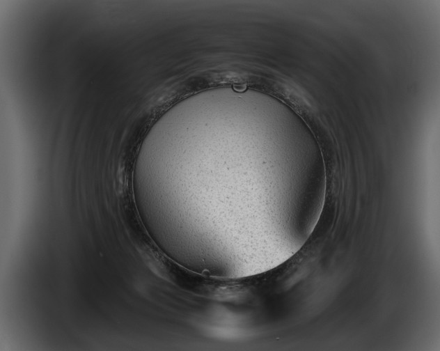 X0000085730173200703231056