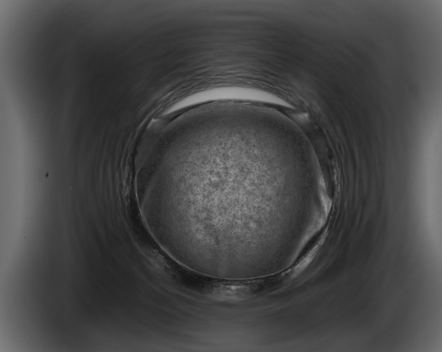 X0000085730174200703231056