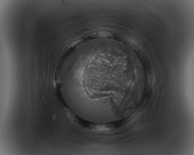 X0000085730177200703231056