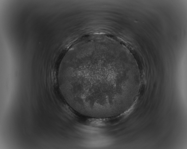 X0000085730182200703231056