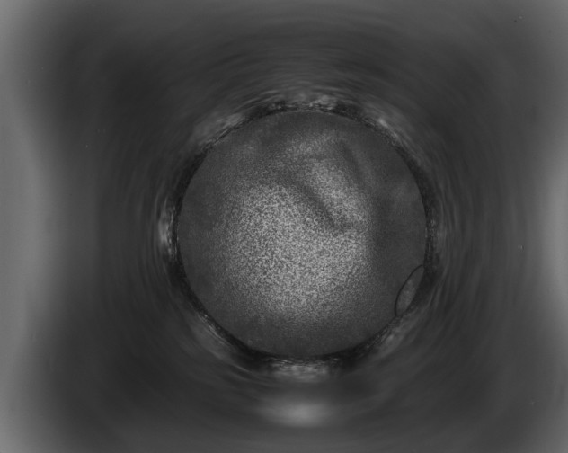 X0000085730185200703231056