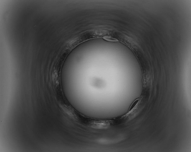 X0000085730187200703231056