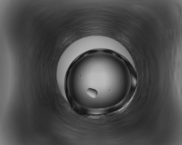 X0000085730190200703231056