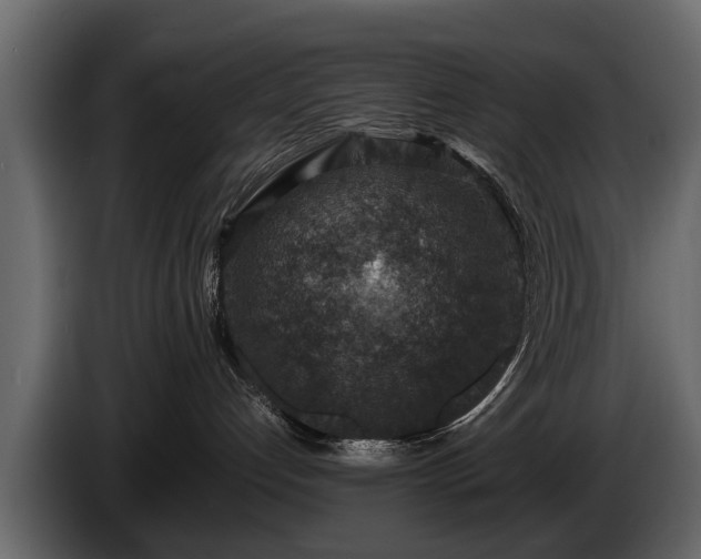 X0000085730192200703231056