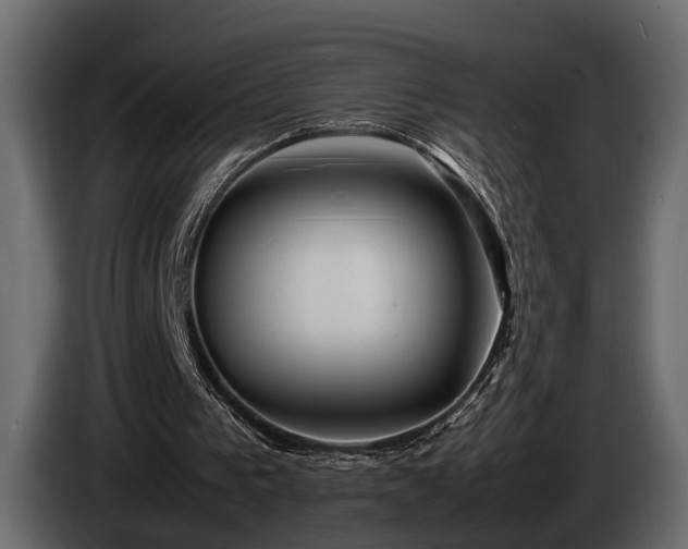 X0000085730193200703231055