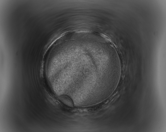 X0000085730194200703231055