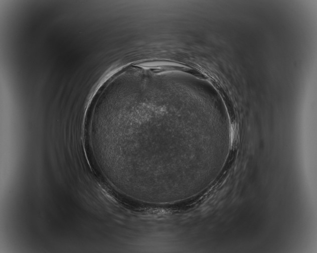 X0000085730195200703231055