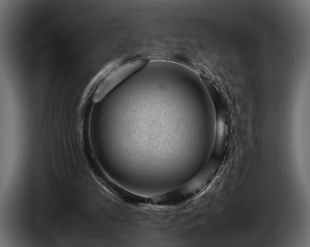 X0000085730197200703231055