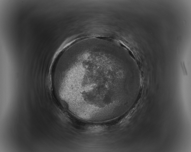 X0000085730198200703231055