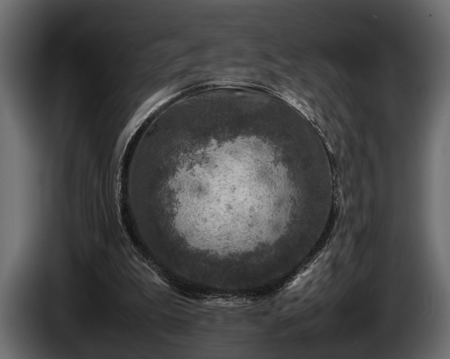 X0000085730199200703231055