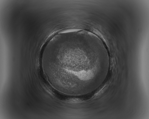 X0000085730203200703231055