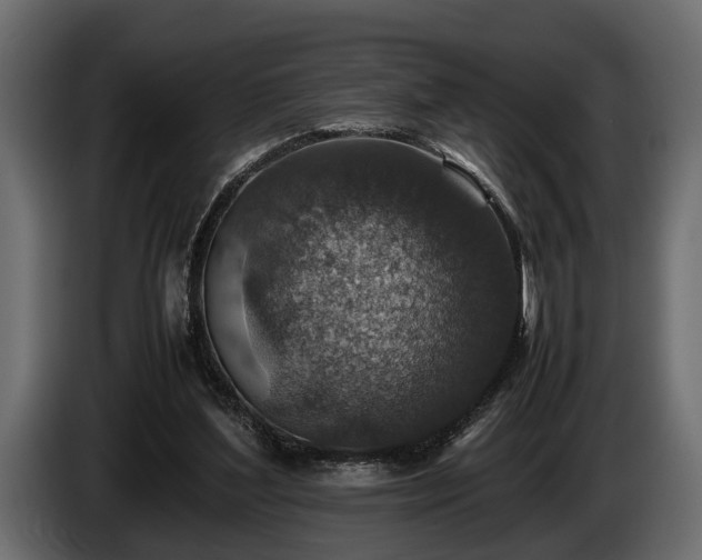 X0000085730204200703231055