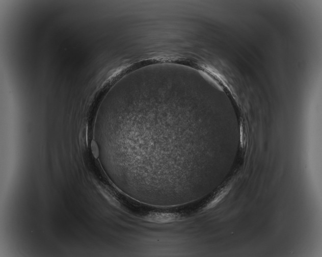 X0000085730205200703231055